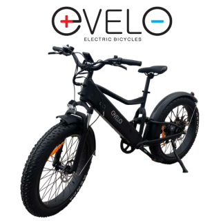 Elektrinis dviratis Evelo 500W 48V 10Ah EV009