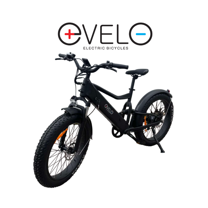 Elektrinis dviratis Evelo 500W 48V 10Ah EV009