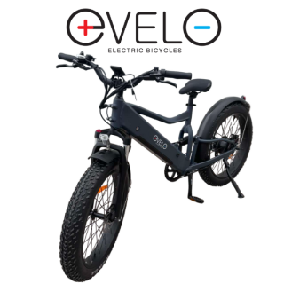 Elektrinis dviratis Evelo 750W 48V 15Ah EV009P