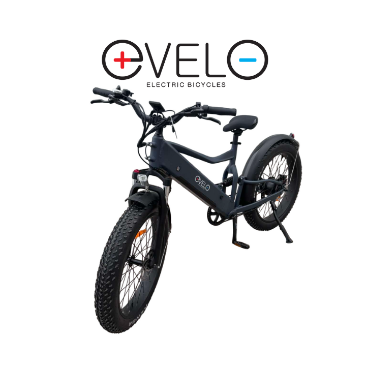 Elektrinis dviratis Evelo 750W 48V 15Ah EV009P